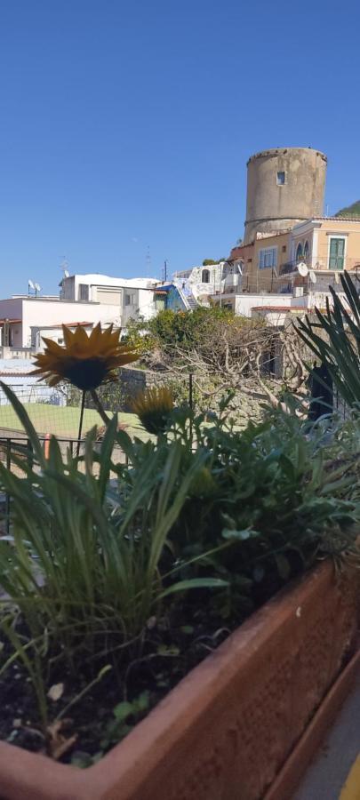 Apartament Casa La Torre Forio D'Ischia - Vicoli Saraceni Zewnętrze zdjęcie